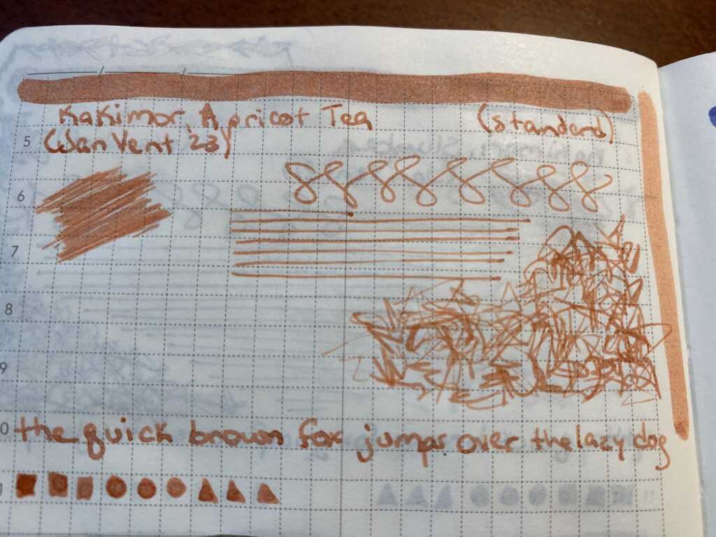 A notebook page with Kakimori Apricot Tea ink sampled on it in various ways. It is not blurry. 