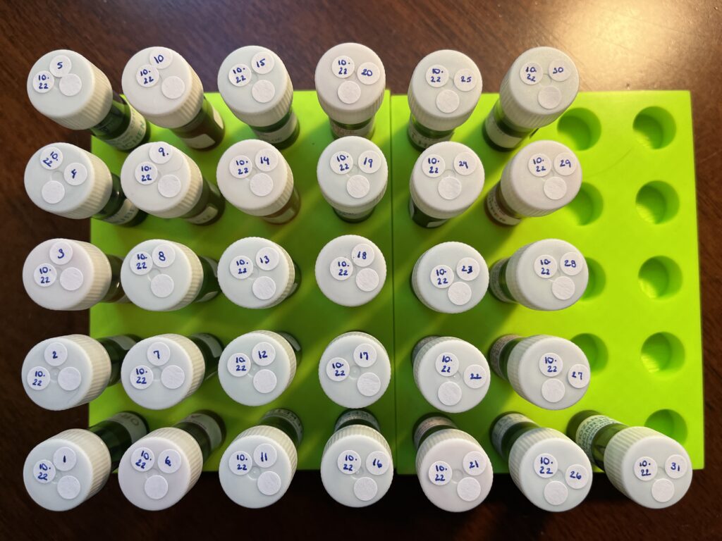 31 individual vials, with white lids and three sticker dots on each one. They are numbered, 1-31. Each one also has one blank white sticker and a dated sticker, 10.22. 